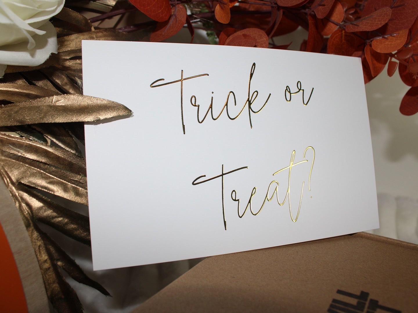 PRE-ORDER Trick or Treat? Gift Box